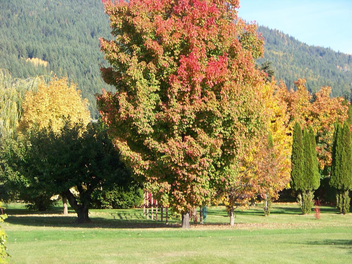 Bavarian Orchard Motel Creston Dış mekan fotoğraf